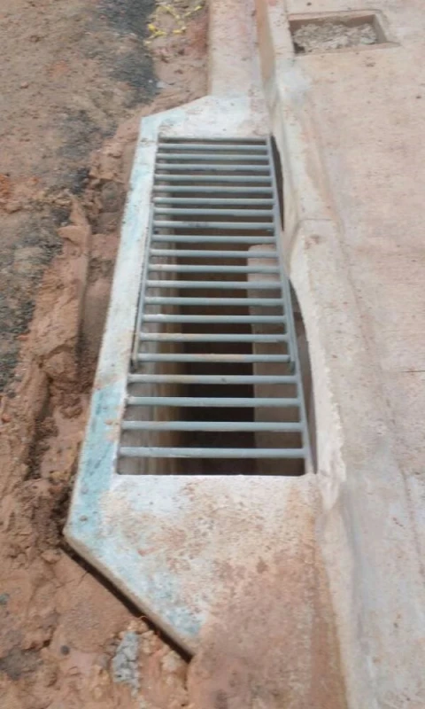 Grelha de boca de leão para calçada